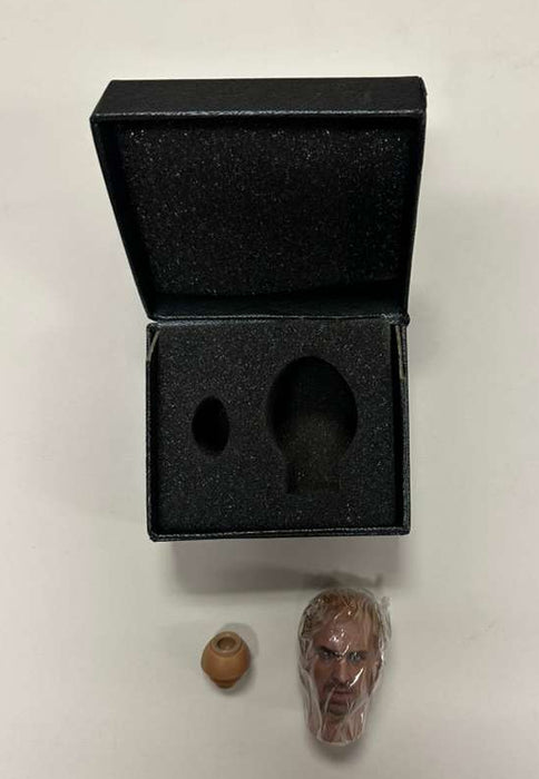 1/6 HEAD SCULPT BY WOLFKING