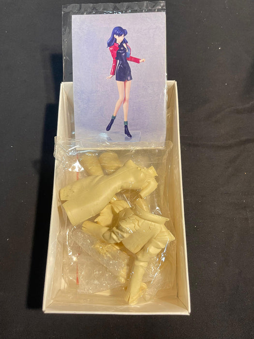 1/6 SEGA Neon Genesis Evangelion EV-3 7800 Very Rare PVC Model Kit