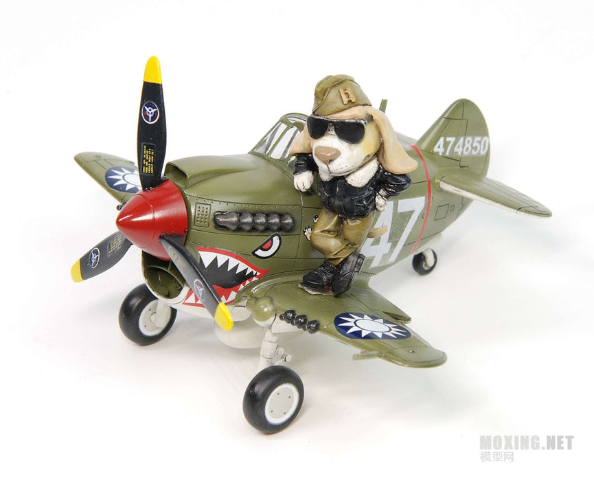 QT CURTISS P-40 WARHAWK AND PILOT (PUPPY PILOT) & QT NAKAJIMA KI84 FIGHTER AND PILOT (KITTY PILOT) TIGER MODEL TT001 & TT002