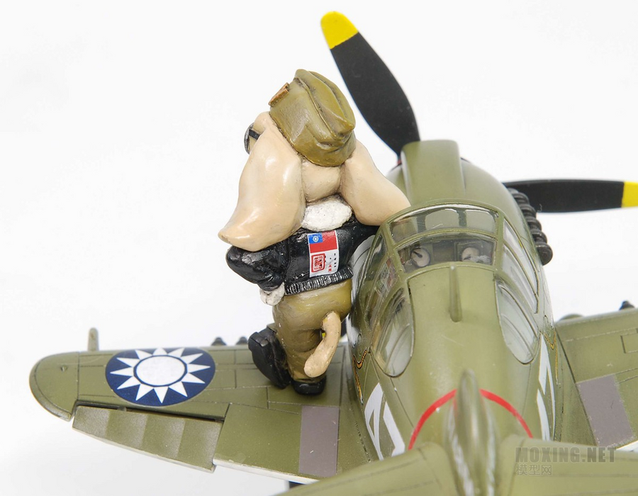 QT CURTISS P-40 WARHAWK AND PILOT (PUPPY PILOT) & QT NAKAJIMA KI84 FIGHTER AND PILOT (KITTY PILOT) TIGER MODEL TT001 & TT002