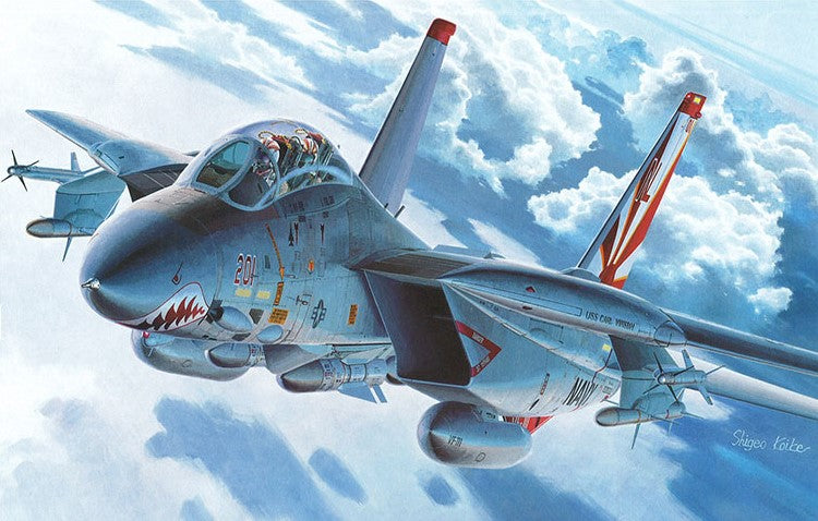 GRUMMAN F-14D TOMCAT, USN VF-2 Bounty Hunters, JC Wings 1/72 JCW-72-F14 GRUMMAN F-14D TOMCAT, USN VF-2 Bounty Hunters, JC Wings 1/72 JCW-72-F14