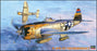 1/48 P-47D-25 THUNDERBOLT HASEGAWA 09140