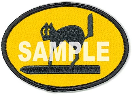 1/20 MASCHINEN KRIEGER ANTIGRAVITY ARMORED RAIDER PKF.85 FALKE "BOMBER CAT" by HASEGAWA JAPAN