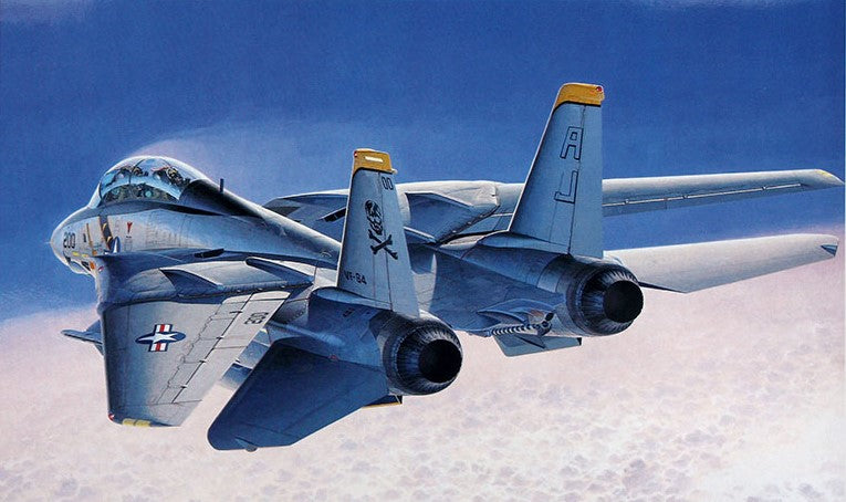 1/72 U.S. Navy F-14A Tomcat "Atlantic fleet Squadrons" by Hasegawa