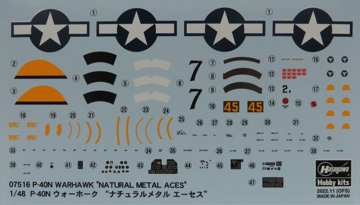 1/48 U.S. P40N Warhawk "Natural Metal Aces" by Hasegawa