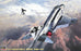 1/48 F-4J PHANTOM II 'SHOW TIME 100" / DUKE CUNNINGHAM by HASEGAWA
