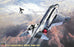 1/48 F-4J PHANTOM II 'SHOW TIME 100' of "DUKE CUNNINGHAM" w/ONE PIECE CANOPY HASEGAWA 07206
